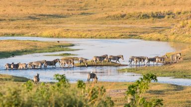 Victoria Falls & Chobe NP & delta Okavanga